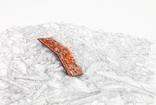 Plank with Driftwood